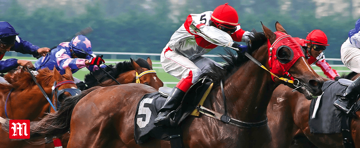 Horse Racing Horse Racing