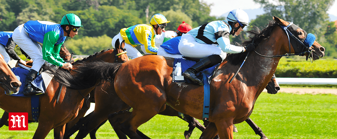 Horse Racing Horse Racing
