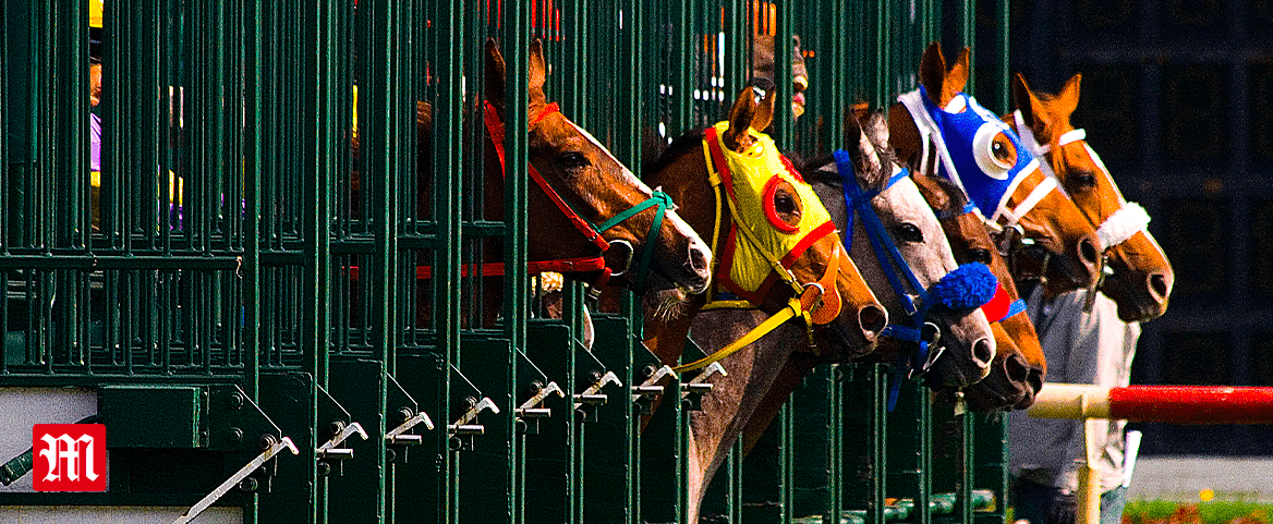 Horse Racing Horse Racing