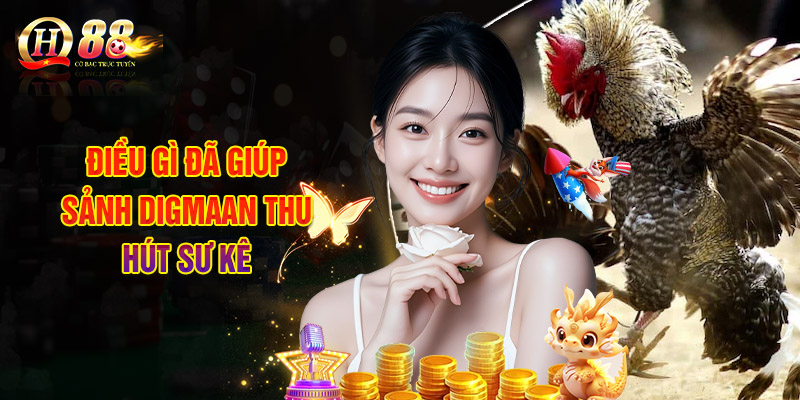 Điều Gì Đã Giúp Sảnh Digmaan Thu Hút Sư Kê