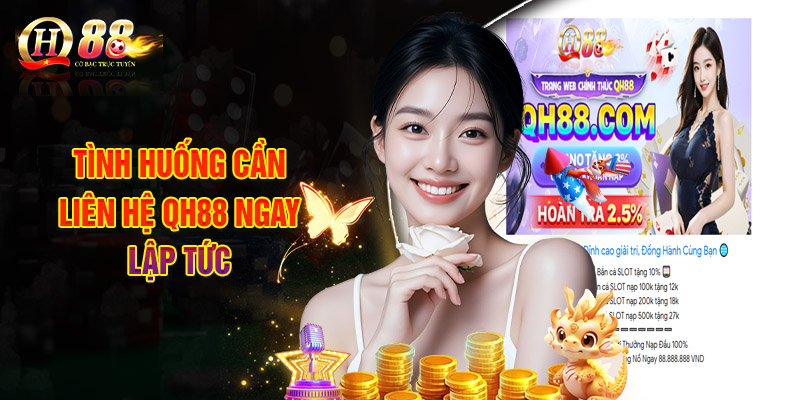 Tình Huống Cần Liên Hệ QH88 Ngay Lập Tức